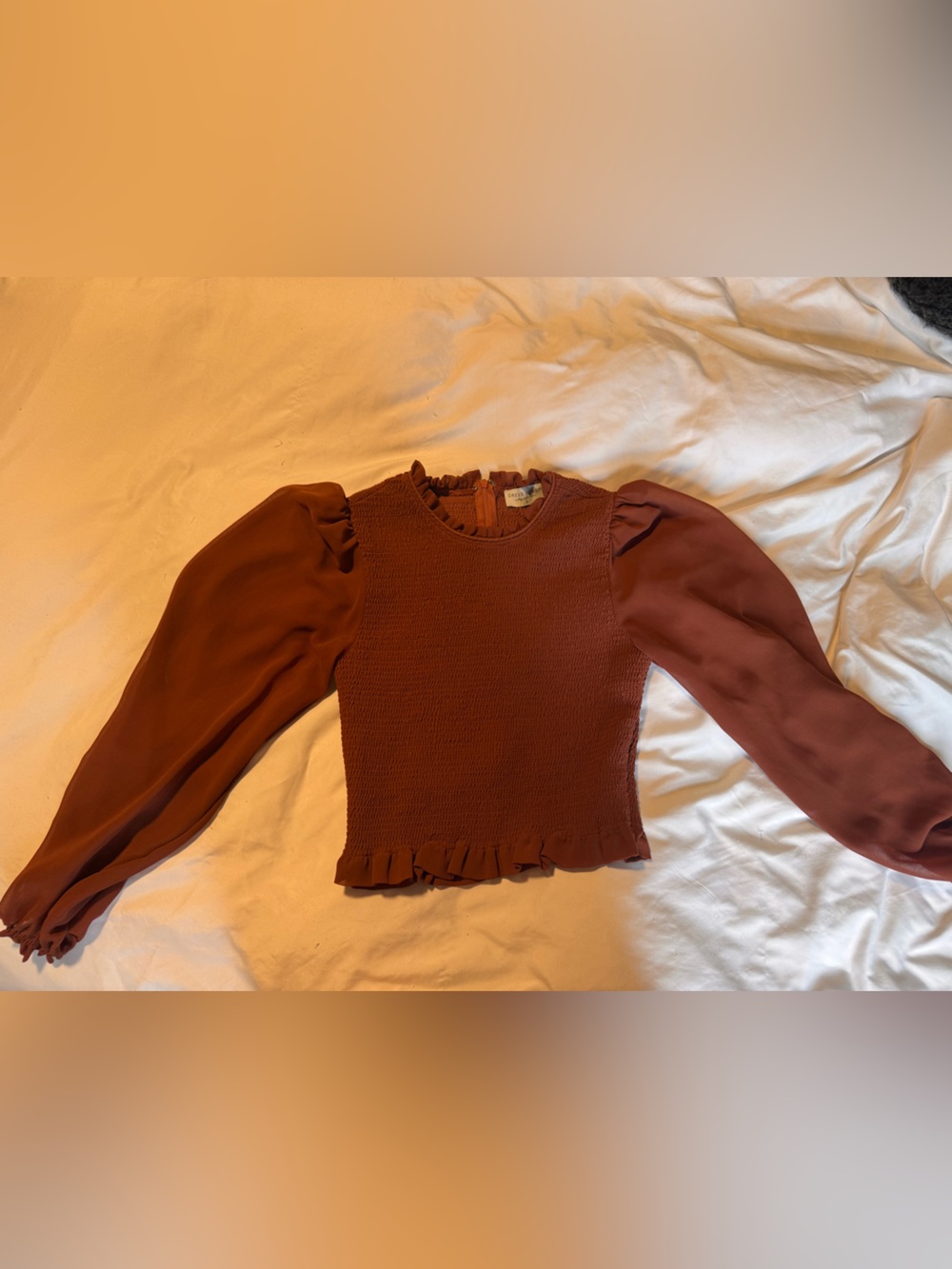 Dress Forum Rust Orange Smocked Top with Ruffle Neck
